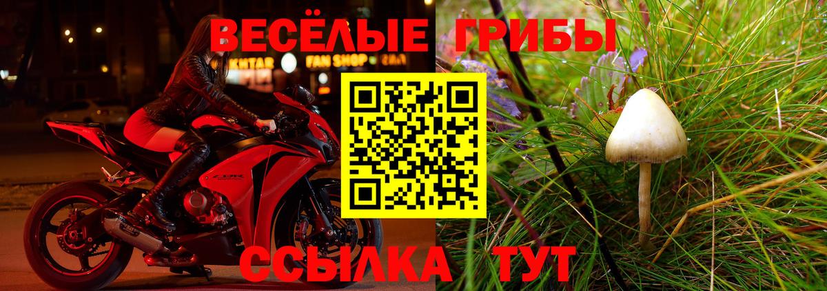 Ейск  Галлюциногенные грибы MAGIC MUSHROOMS  Вход с VPN 